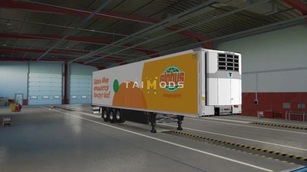 ETS2 - Russian Company Schmitz Pack V1.0 (1.49.x)