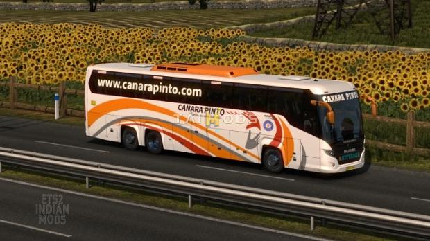 ETS2 - Indian Canara Pinto Skin Pack for Scania Touring v1.0 (1.45.x)