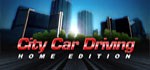 City Car Driving
