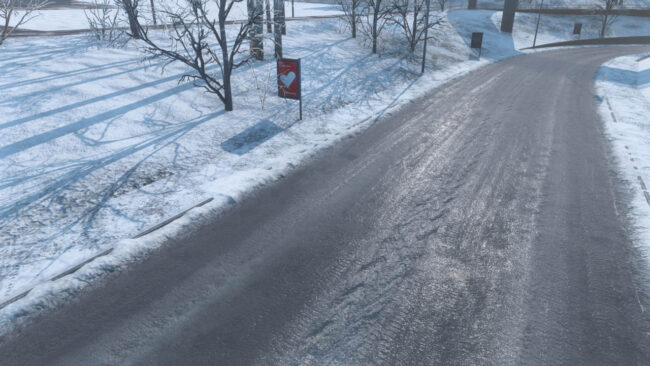 mod_6975f981e5ea0_wex-3 NGR Winter Experience v2026 1.57
